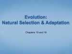 Evolution: Natural Selection & Adaptation