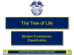 18-2 Modern Evolutionary Classification