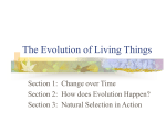 The Evolution of Living Things