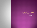 Evolution - Richfield Public Schools