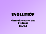 Evolution