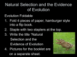 Natural Selection and the Evidence of Evolution