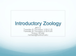 Introductory Zoology