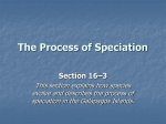 Section 16–3 The Process of Speciation