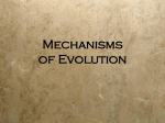 Mechanisms Powerpoint