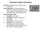 Evolution: Basic Principles