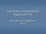 Two Views of Adaptation