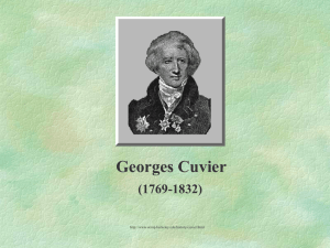 cuvier1