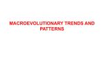 Lecture 21 Macroevolution