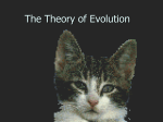 The Theory of Evolution2