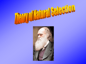 Theory of Natural Selection