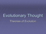 Evolutionary Thought