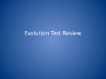 Evolution Test Review