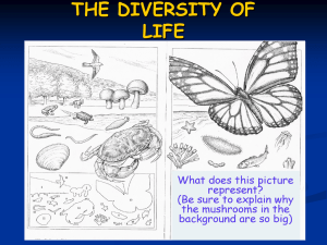 Diversity of Life