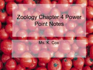 Zoology Chapter 4 Power Point Notes