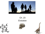 Evolution