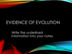 Evidence of Evolution