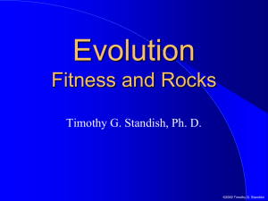 Evolution-Fitness and Rocks