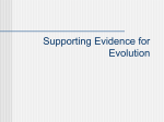 Supporting Evidence for Evolution