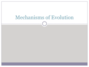 Mechanisms of Evolution