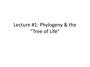 Lecture #1: Phylogeny & the “Tree of Life”