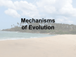 Mechanisms of Evolution