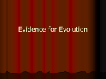 Evidence for Evolution