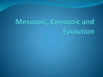 Mesozoic, Cenozoic and Evolution