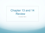 Chapter 13 and 14 Review