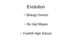 The Theory of Evolution