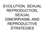 EVOLUTION, SEXUAL REPRODUCTION, SEXUAL DIMORPHISM,