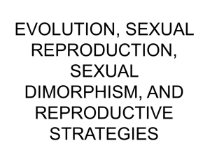 EVOLUTION, SEXUAL REPRODUCTION, SEXUAL DIMORPHISM,