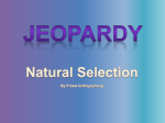 Natural Selection jeopardy edit