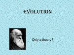 A basic definition of evolution…