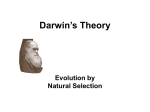 Theory of Evolution by Natural Selection