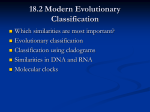 18.2 Modern Evolutionary Classification