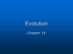 What is Evolution?