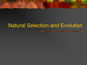 Natural Selection and Evolution