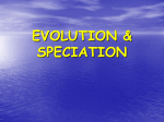 Ch.16Speciation ppt