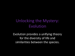 Unlocking the Mystery: Evolution