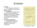 Evolution Notes