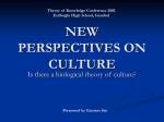 NEW PERSPECTIVES ON CULTURE