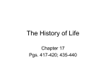 The History of Life