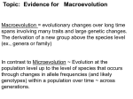 Nerve activates contraction