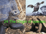 24 The Origin of species
