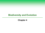 Chapter 4 Biodiversity POST