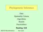 Phylogenetic - Nematode bioinformatics. Analysis tools and data