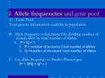 Allele frequencies