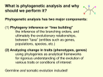 Lecture 7-POSTED-BISC441-2012