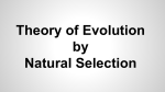 Theory of Evolution by Natural Selection